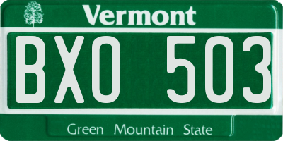 VT license plate BXO503