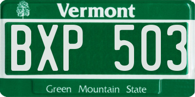 VT license plate BXP503