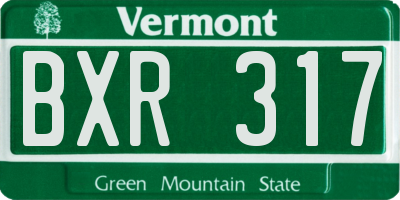 VT license plate BXR317