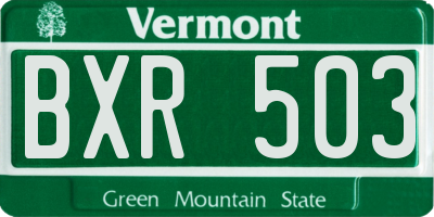 VT license plate BXR503