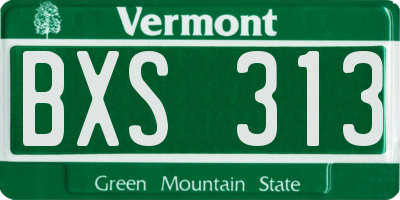 VT license plate BXS313