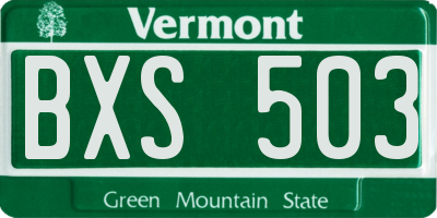 VT license plate BXS503