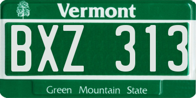 VT license plate BXZ313