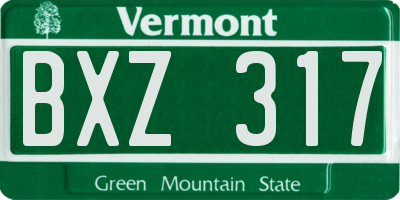 VT license plate BXZ317
