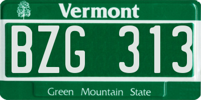 VT license plate BZG313