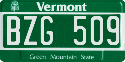 VT license plate BZG509