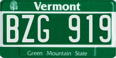VT license plate BZG919