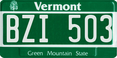 VT license plate BZI503