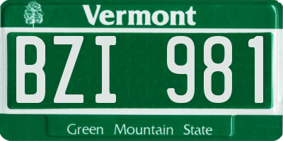 VT license plate BZI981