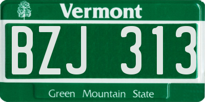 VT license plate BZJ313
