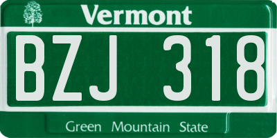 VT license plate BZJ318
