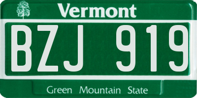 VT license plate BZJ919