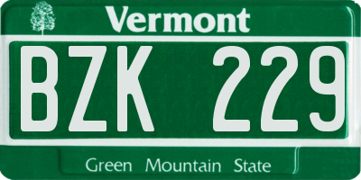 VT license plate BZK229