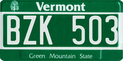 VT license plate BZK503