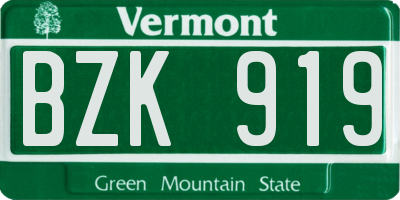 VT license plate BZK919