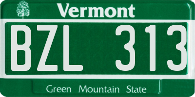 VT license plate BZL313