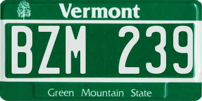 VT license plate BZM239