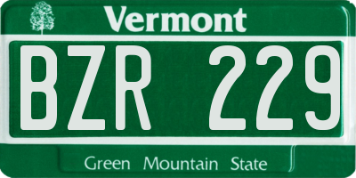 VT license plate BZR229