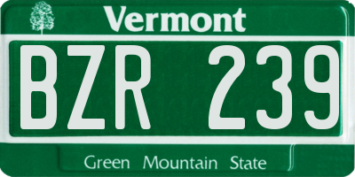 VT license plate BZR239
