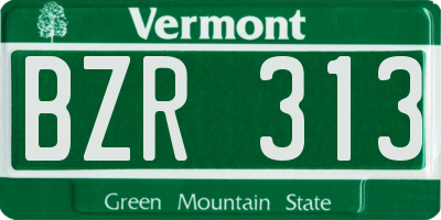 VT license plate BZR313