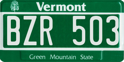 VT license plate BZR503