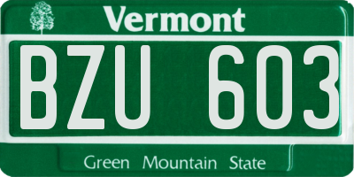 VT license plate BZU603
