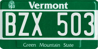 VT license plate BZX503