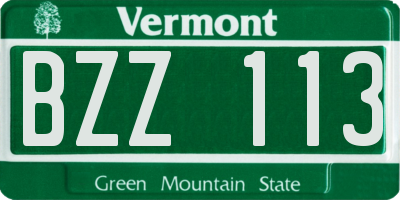 VT license plate BZZ113