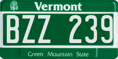 VT license plate BZZ239