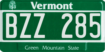 VT license plate BZZ285