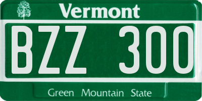 VT license plate BZZ300