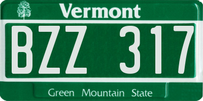 VT license plate BZZ317