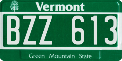 VT license plate BZZ613