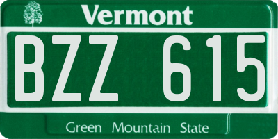 VT license plate BZZ615