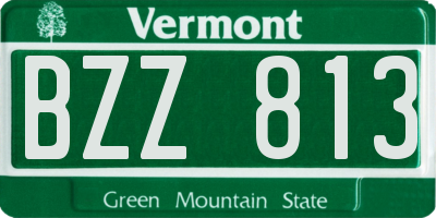 VT license plate BZZ813