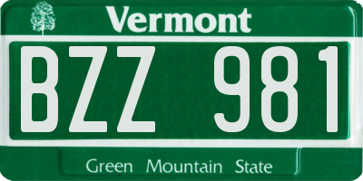 VT license plate BZZ981