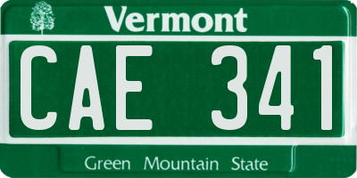 VT license plate CAE341