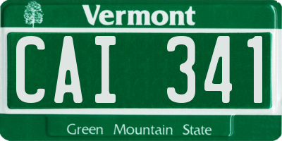 VT license plate CAI341