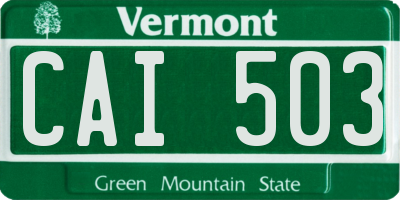 VT license plate CAI503
