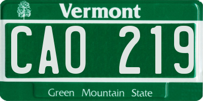 VT license plate CAO219
