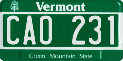 VT license plate CAO231