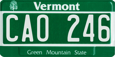 VT license plate CAO246