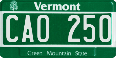 VT license plate CAO250