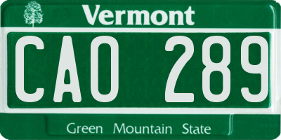 VT license plate CAO289