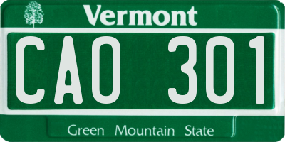 VT license plate CAO301