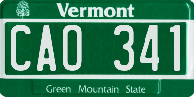 VT license plate CAO341