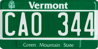 VT license plate CAO344