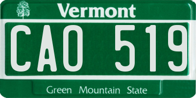 VT license plate CAO519