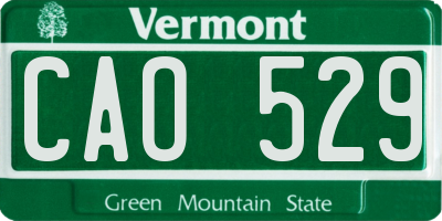 VT license plate CAO529