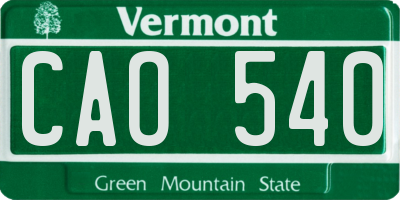VT license plate CAO540